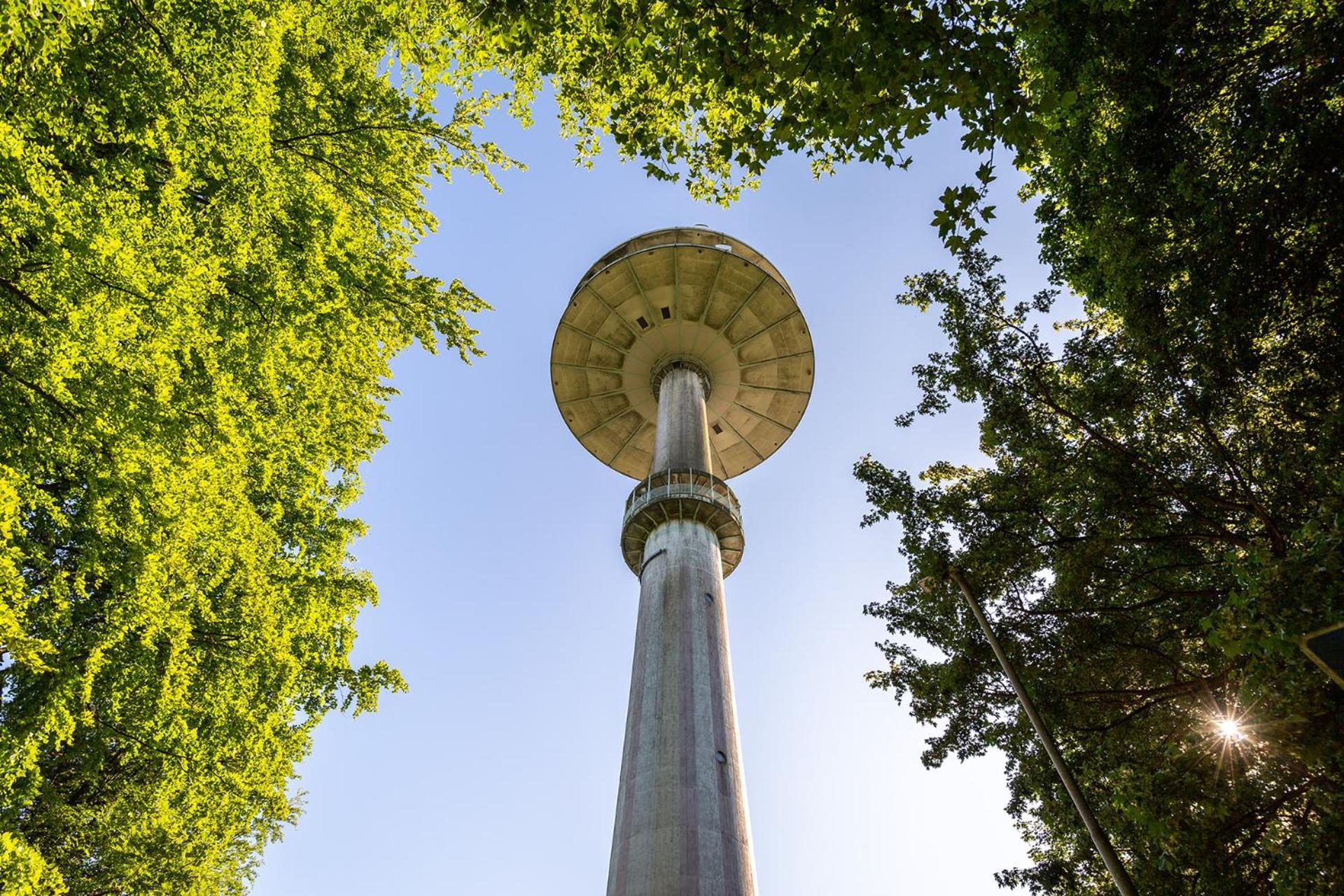 Ferienhaus Am Moenchneversdorfer See Schonwalde am Bungsberg Esterno foto